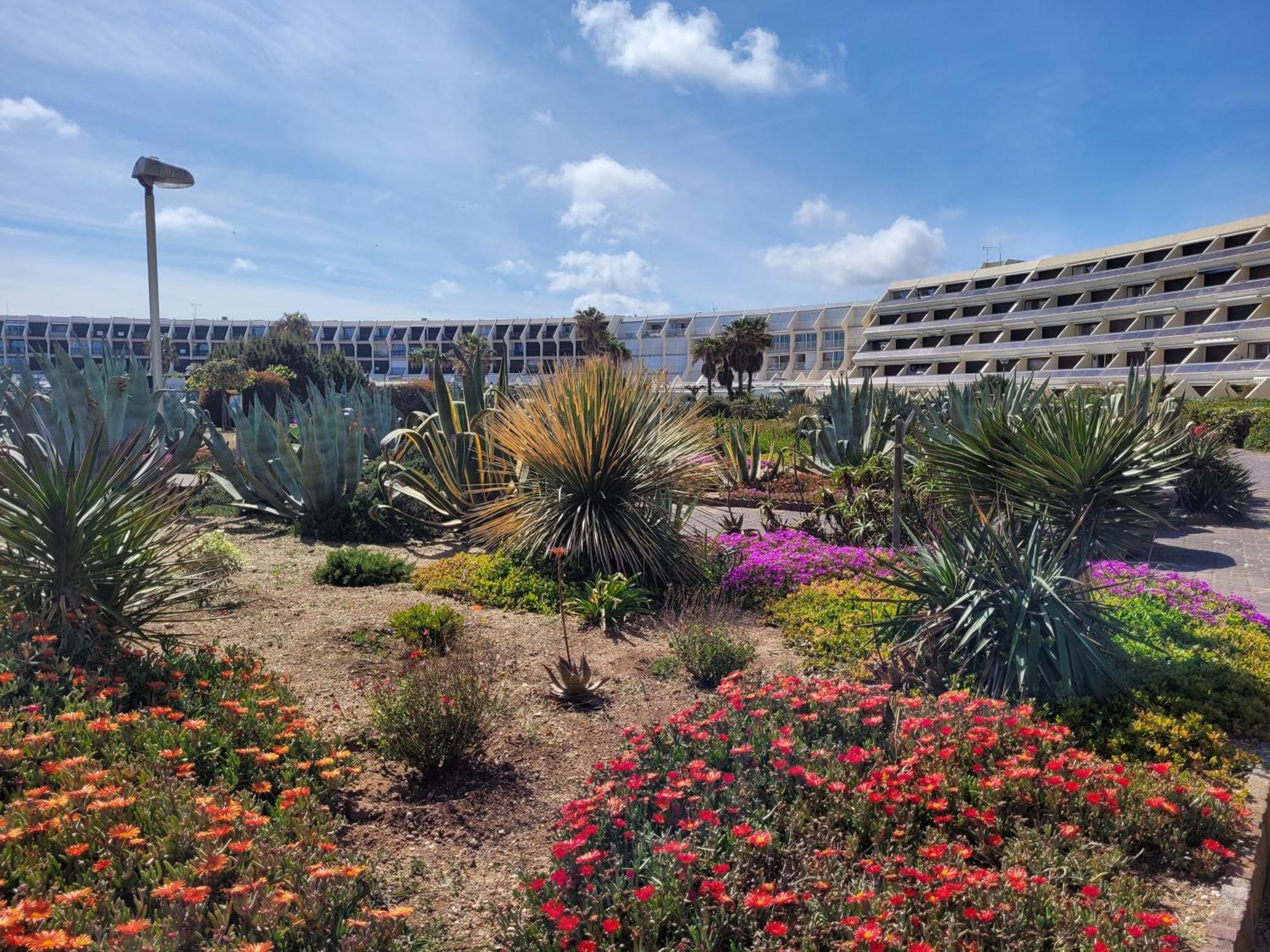 Apartment Avec Terrasse Heliopolis Agde